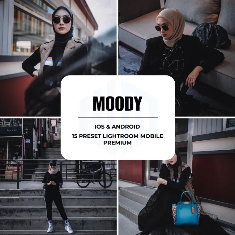 Preset lightroom moody